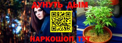 гашик Тара