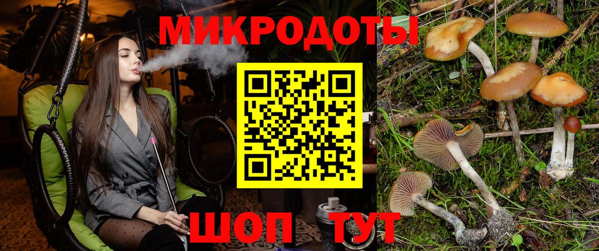 Галлюциногенные грибы мицелий Новошахтинск
